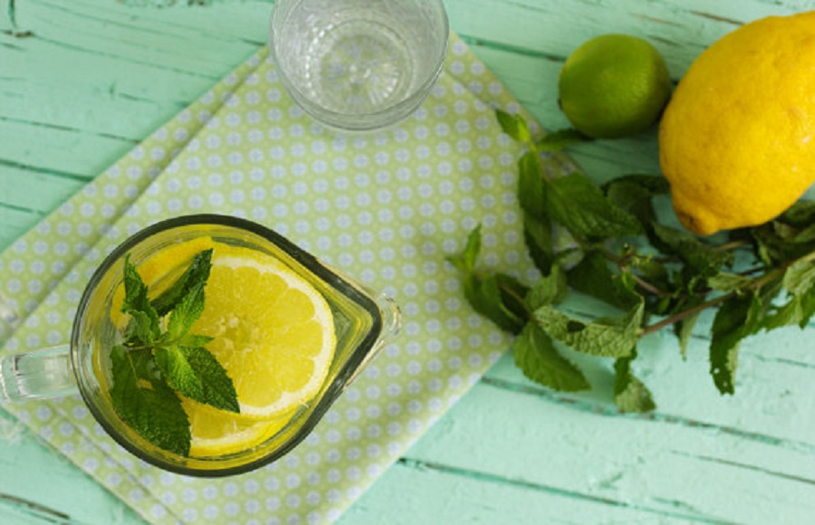 Ir para  <p><strong>Ingredientes para um jarro:</strong><br />
1 l de &aacute;gua<br />
1 lim&atilde;o<br />
1 lima<br />
Folhas de hortel&atilde; q.b.<br />
Cubos de gelo q.b.<br...